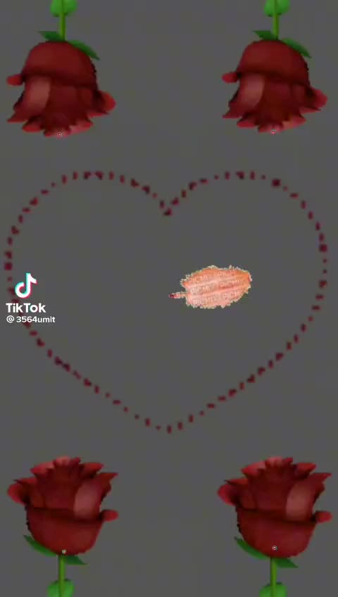 @Sıla gurbet🌼🐞🐞 gurbet 02