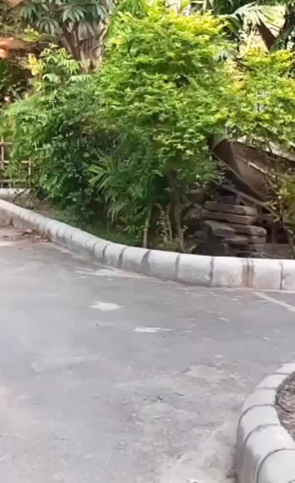 @RoHan KuMar PrAsad