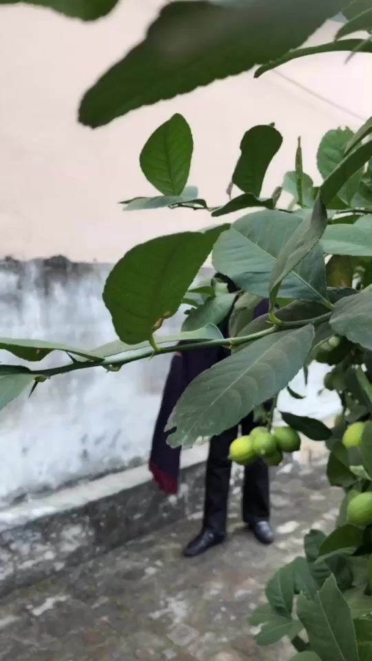 @SimerJhajj