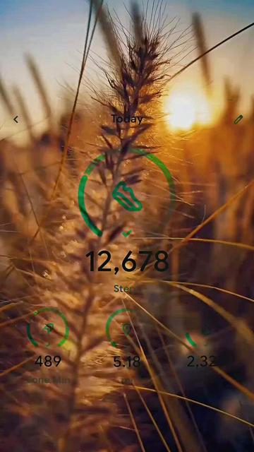 @But my vaj still works🌷🌷