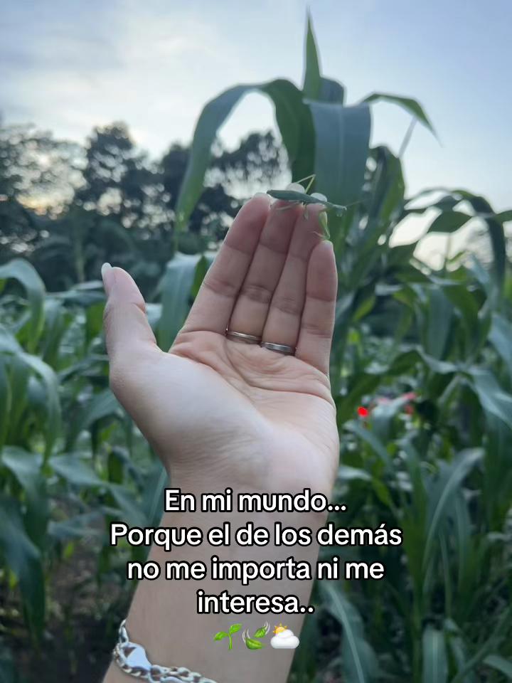 @Megela2