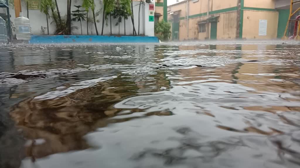 @Swadhin Nayak