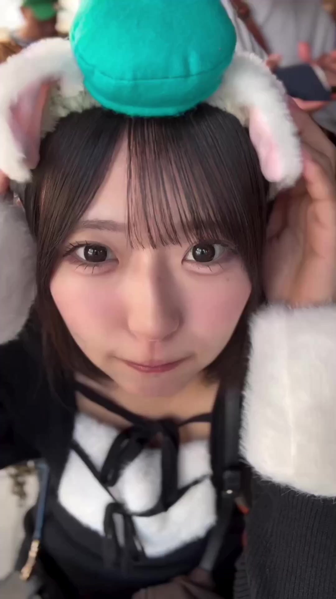 @ふじいろぶた