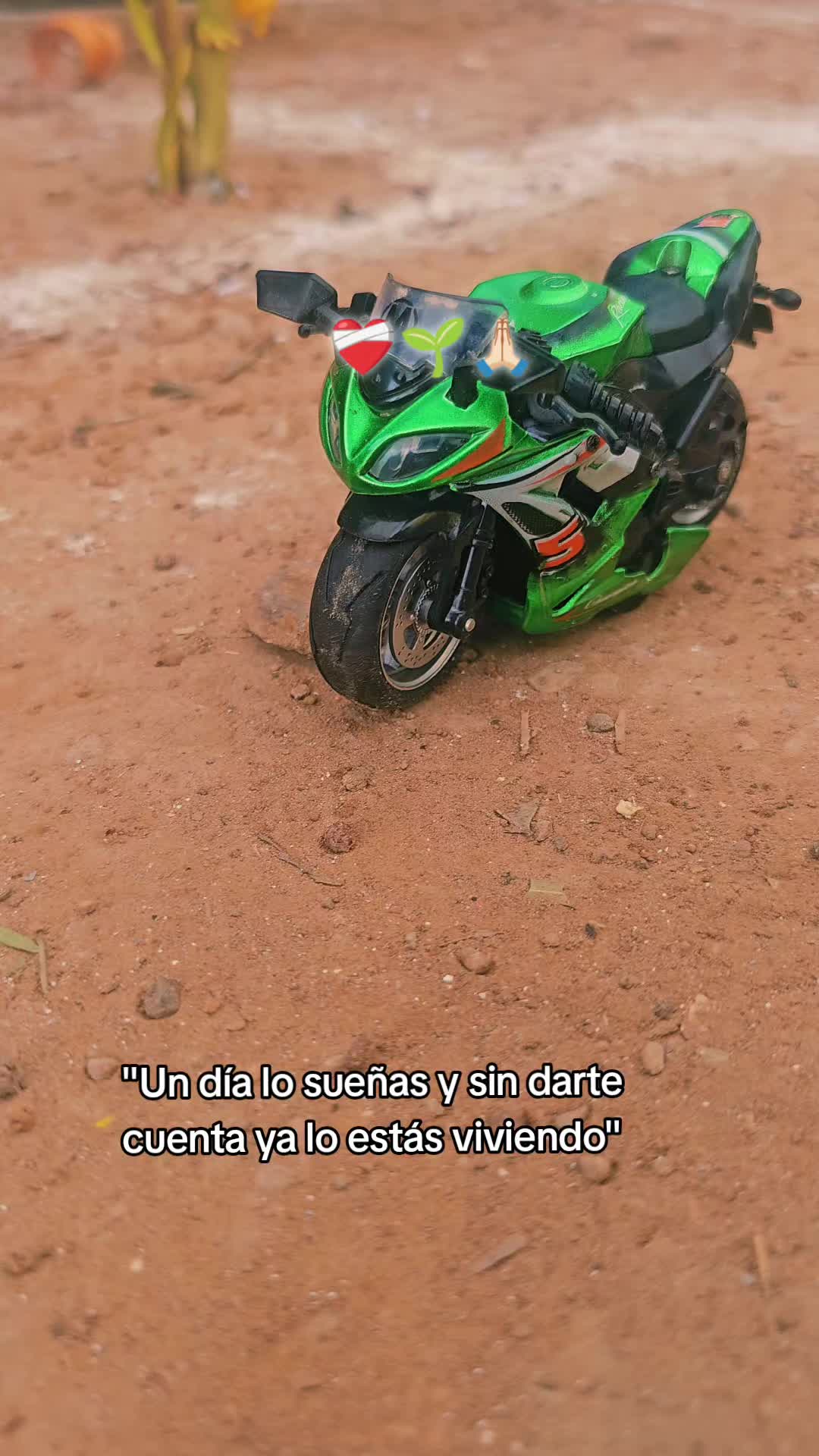 @Cristina Chambi Valero