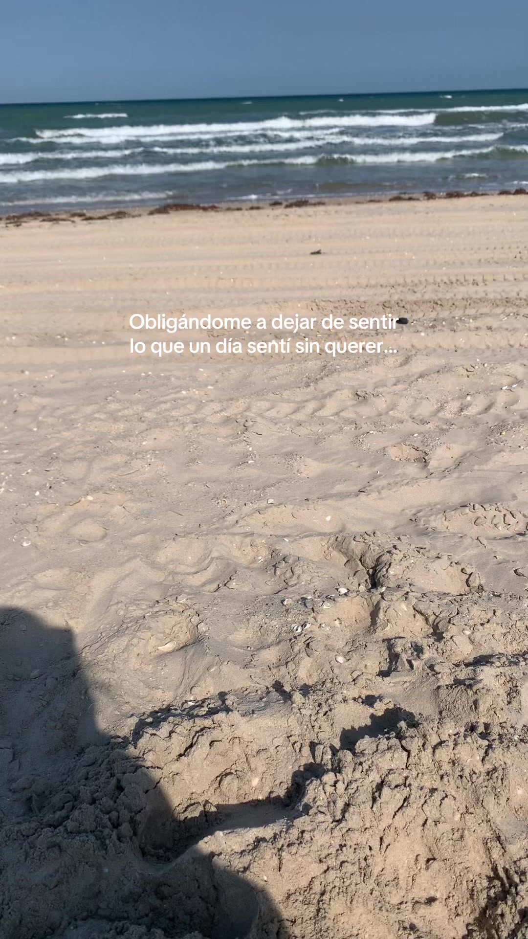 @Aleida Garza
