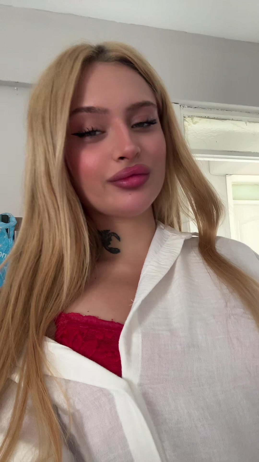 @lilygod