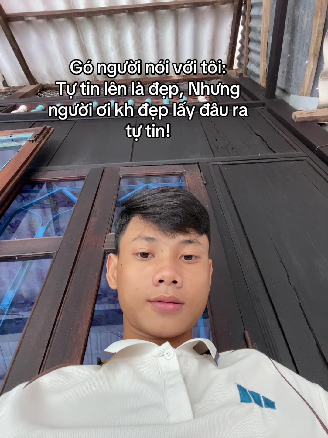 @banddz7