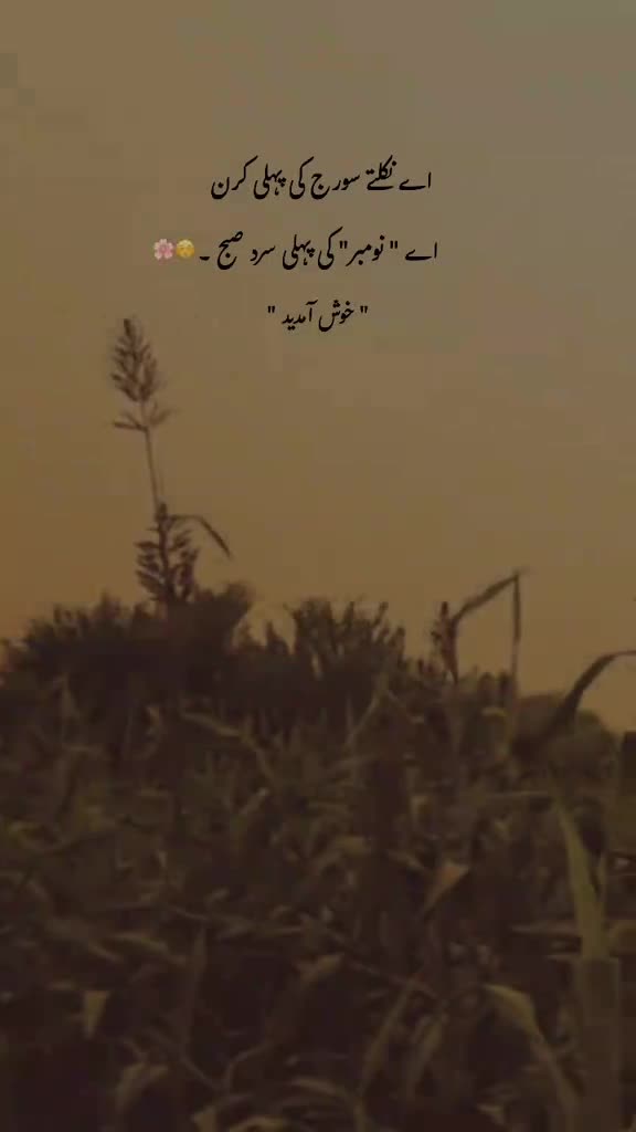 @Salman