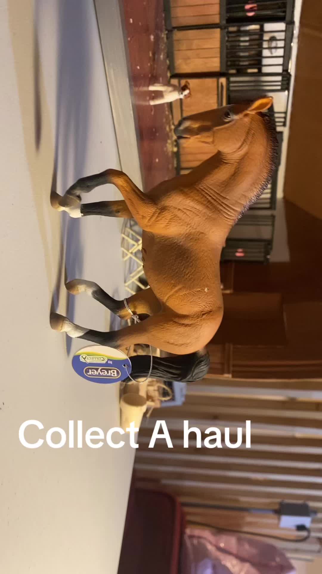 @Schleich