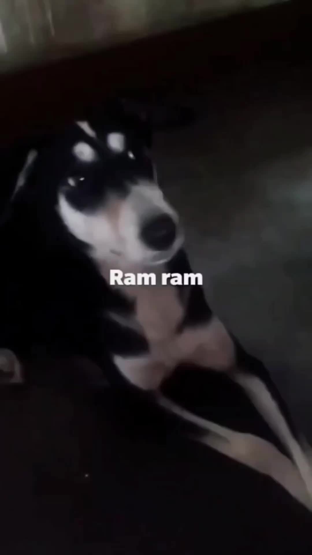 @risky_goswami302