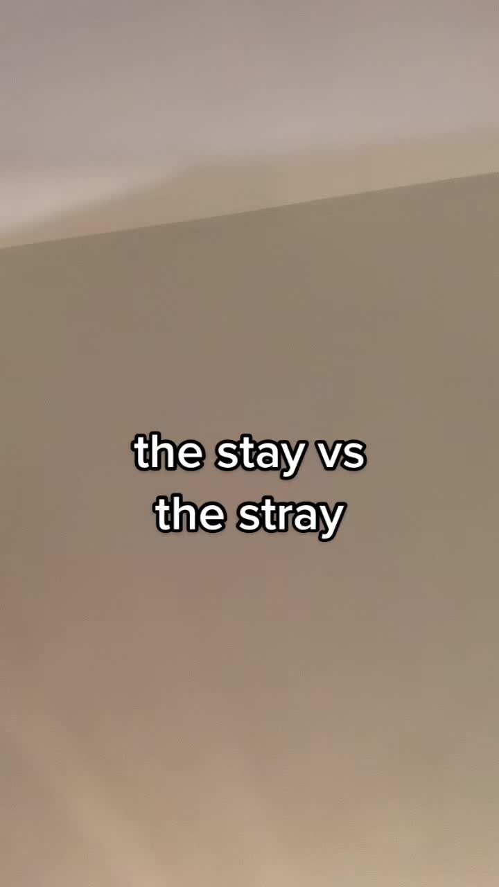 @𝐦𝐢𝐧𝐢 ☁️ ༉