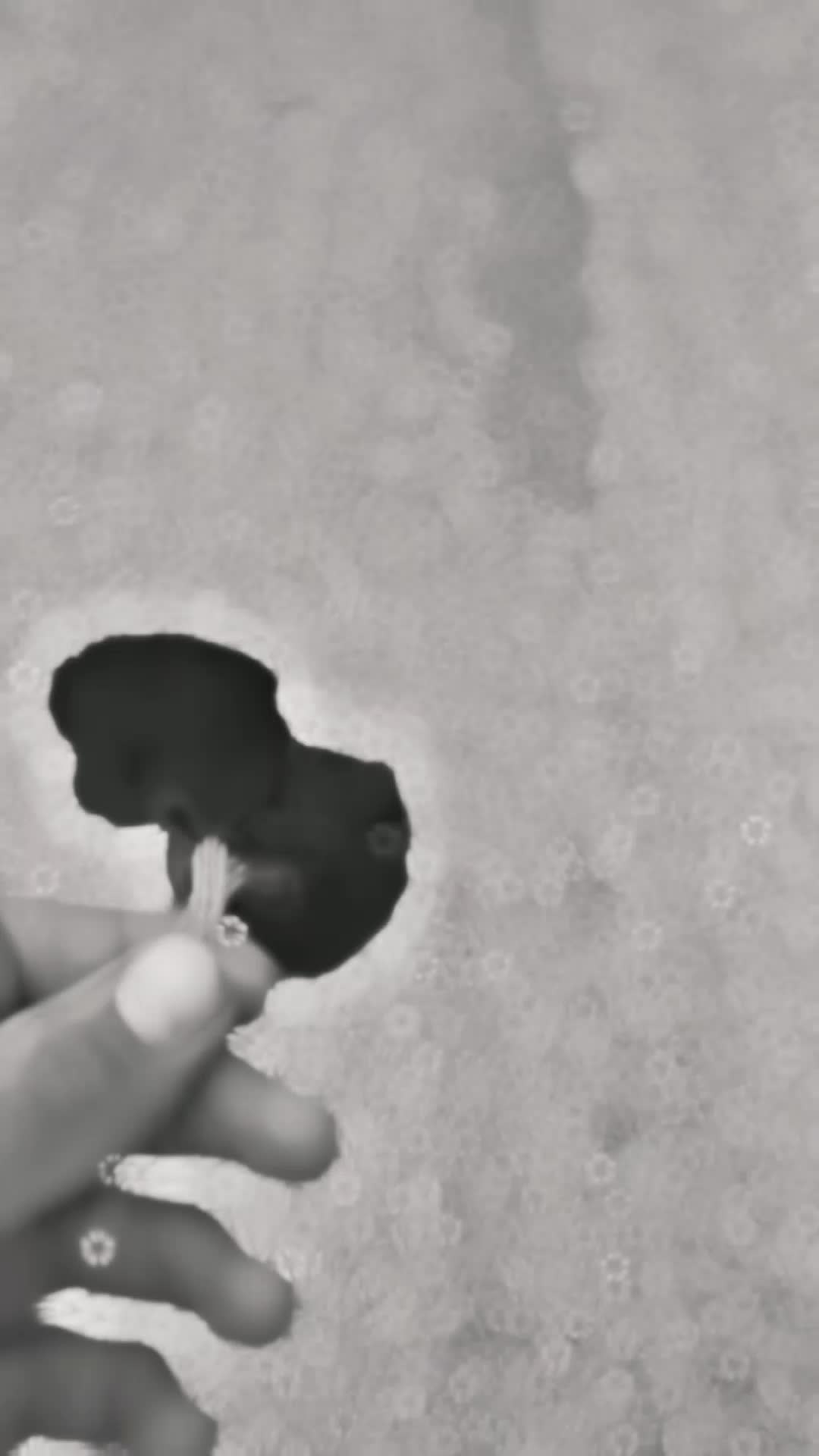 @𝘽𝙚𝙧𝙠𝙖𝙮 𝙞𝙘𝙚𝙣