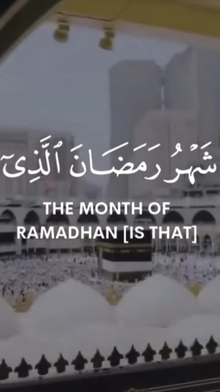 @Rajpoot Ali