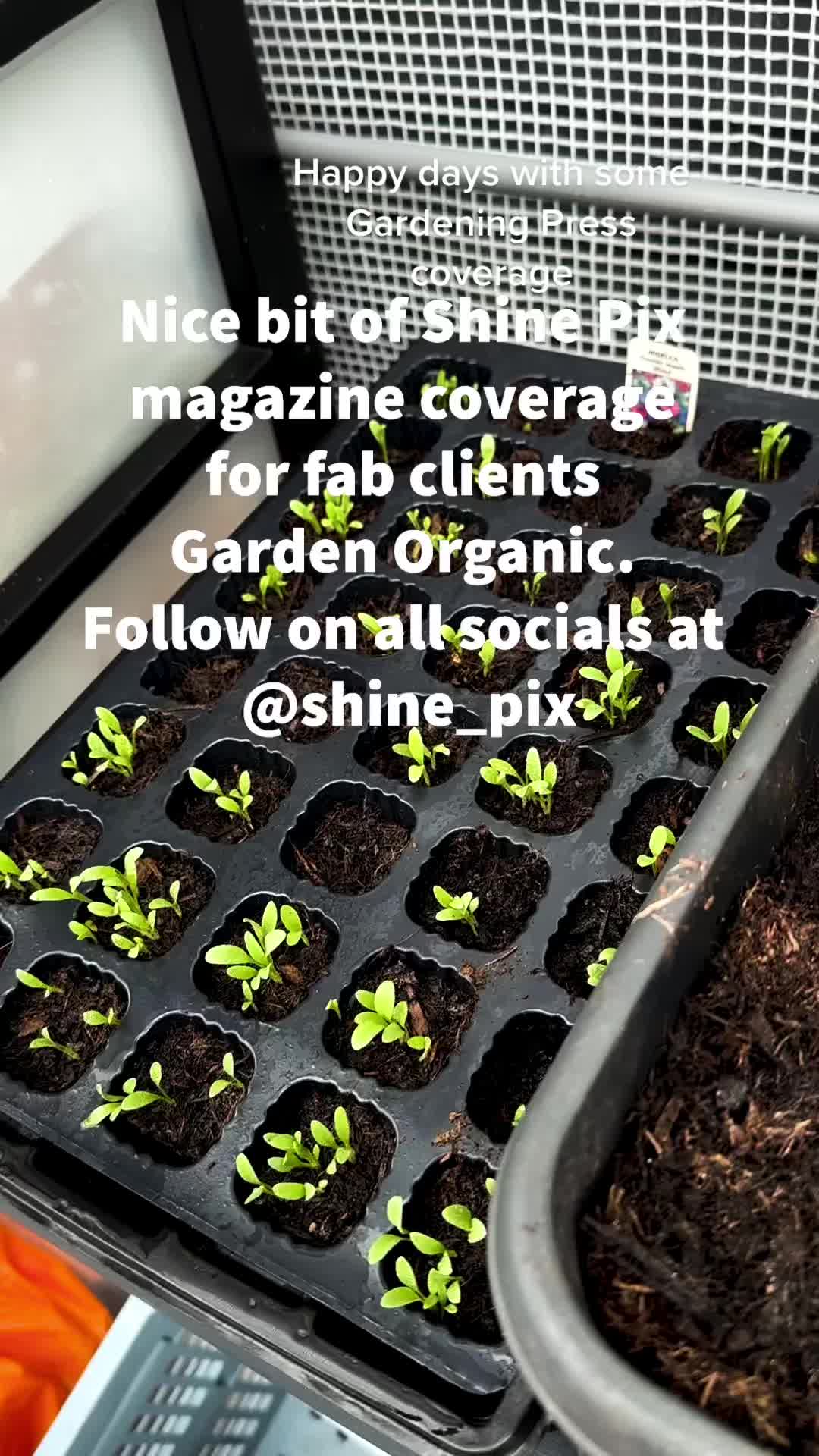 @Shine_Pix