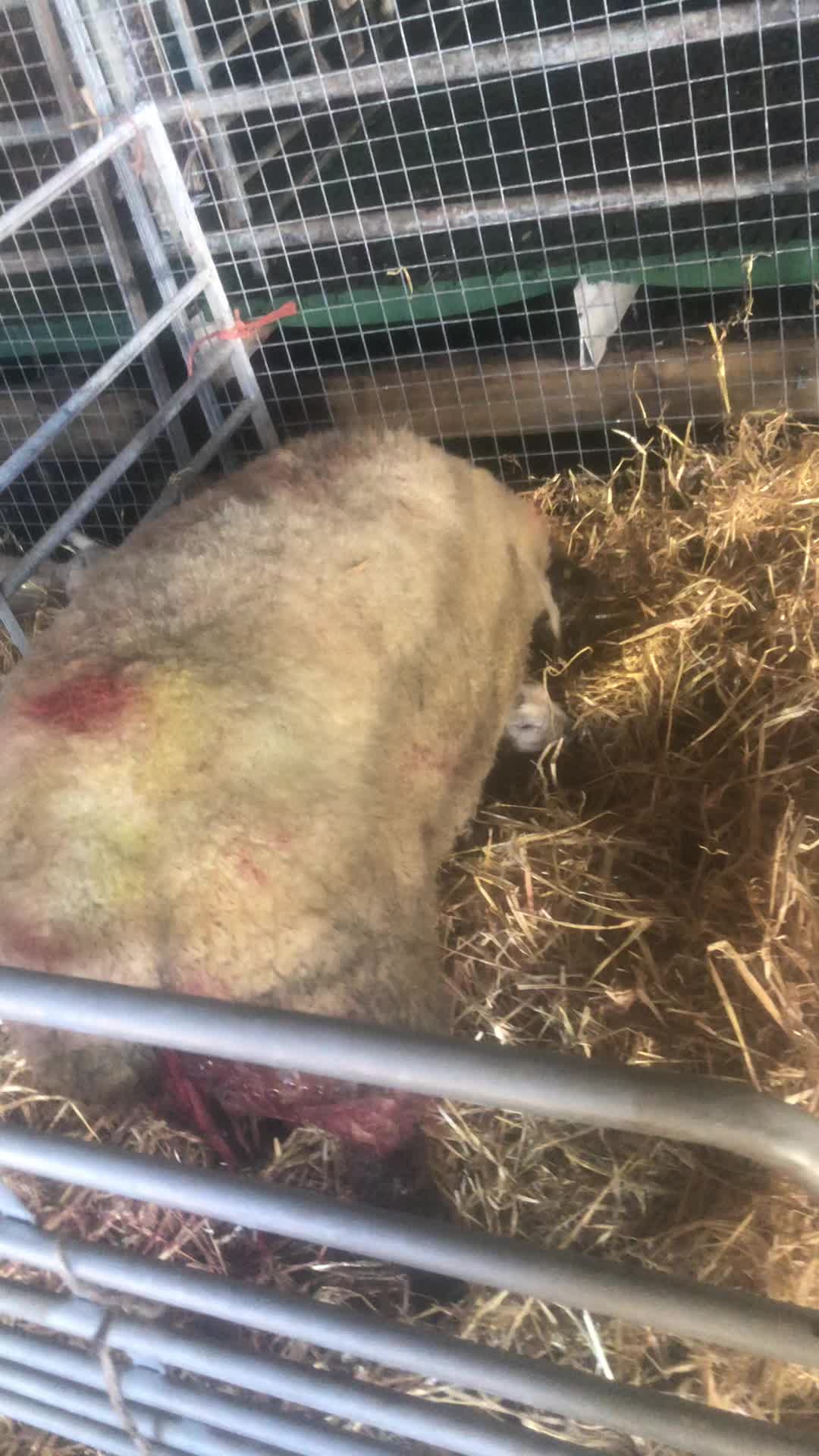 @FARMvisor