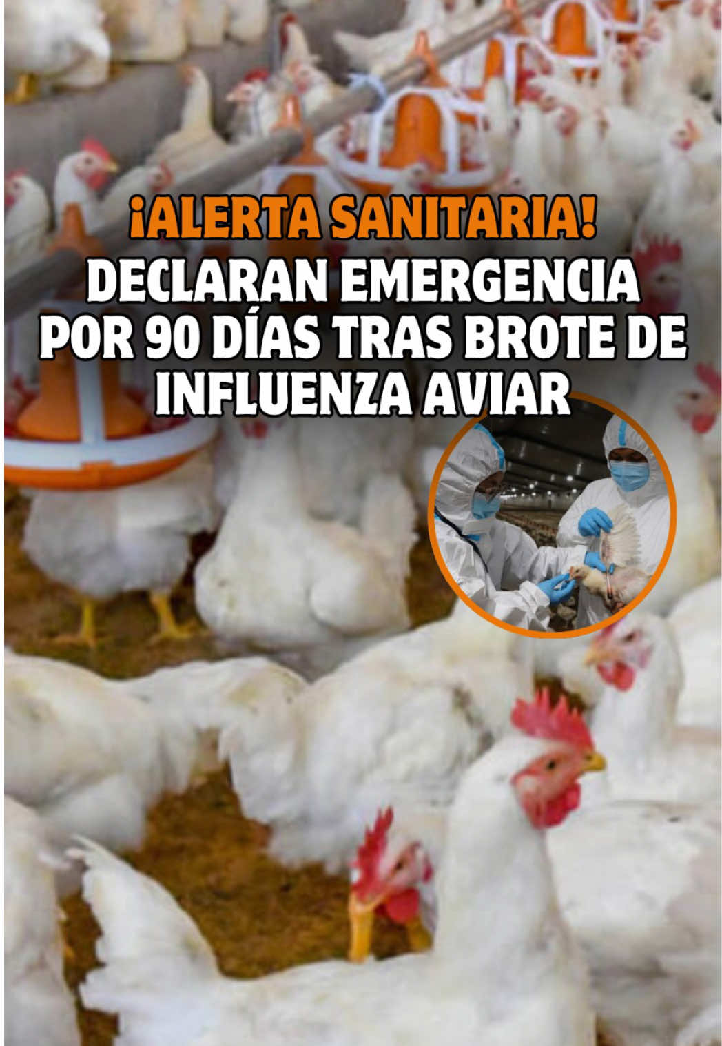 @Trome oficial