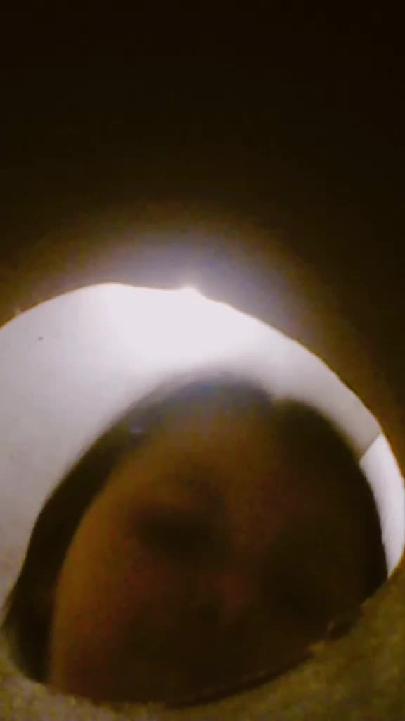 @anahixxd