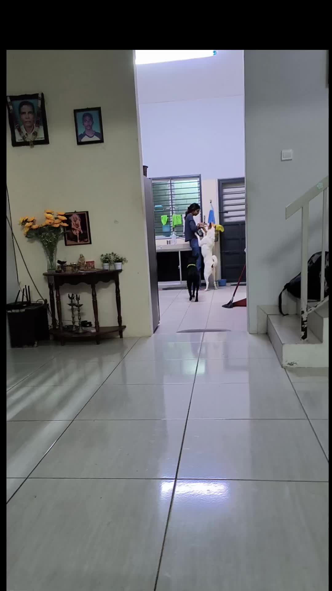 @Harmony Dewi