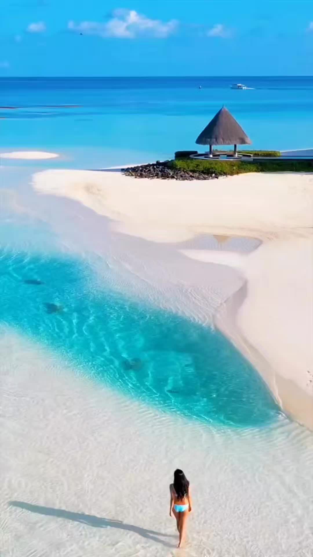 @OverAtightBeat