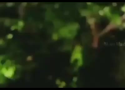 @Jaya Murugan