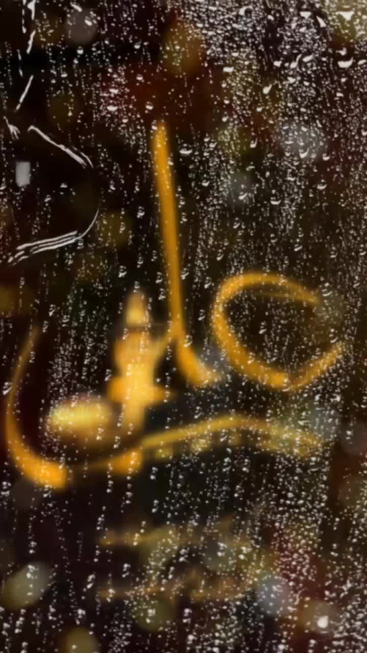 @zoya khan