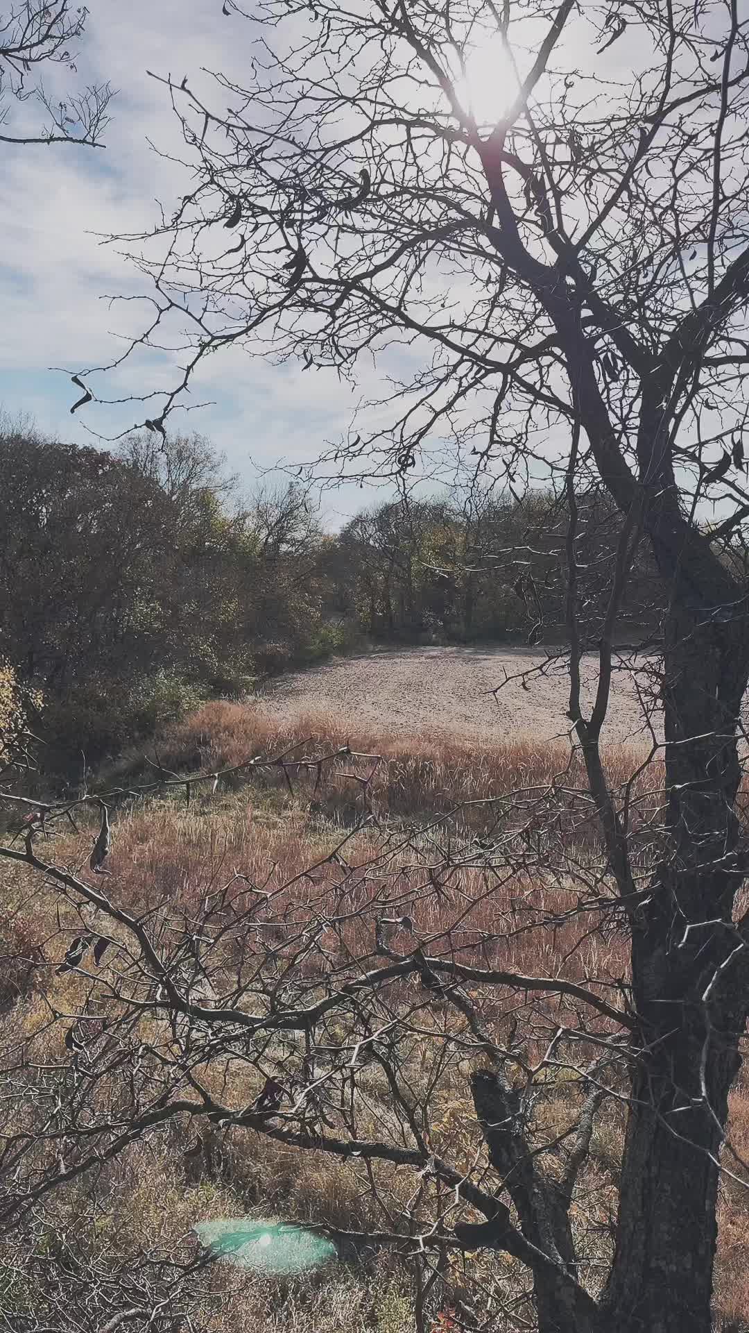 @Trophy Hollow Outfitters