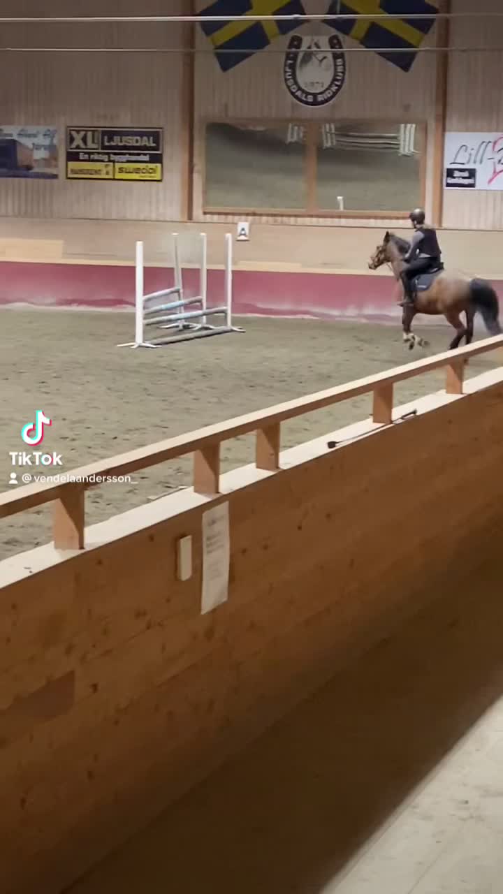 @𝐻𝒪𝑅𝒮𝐸𝐿𝐼𝐹𝐸💘