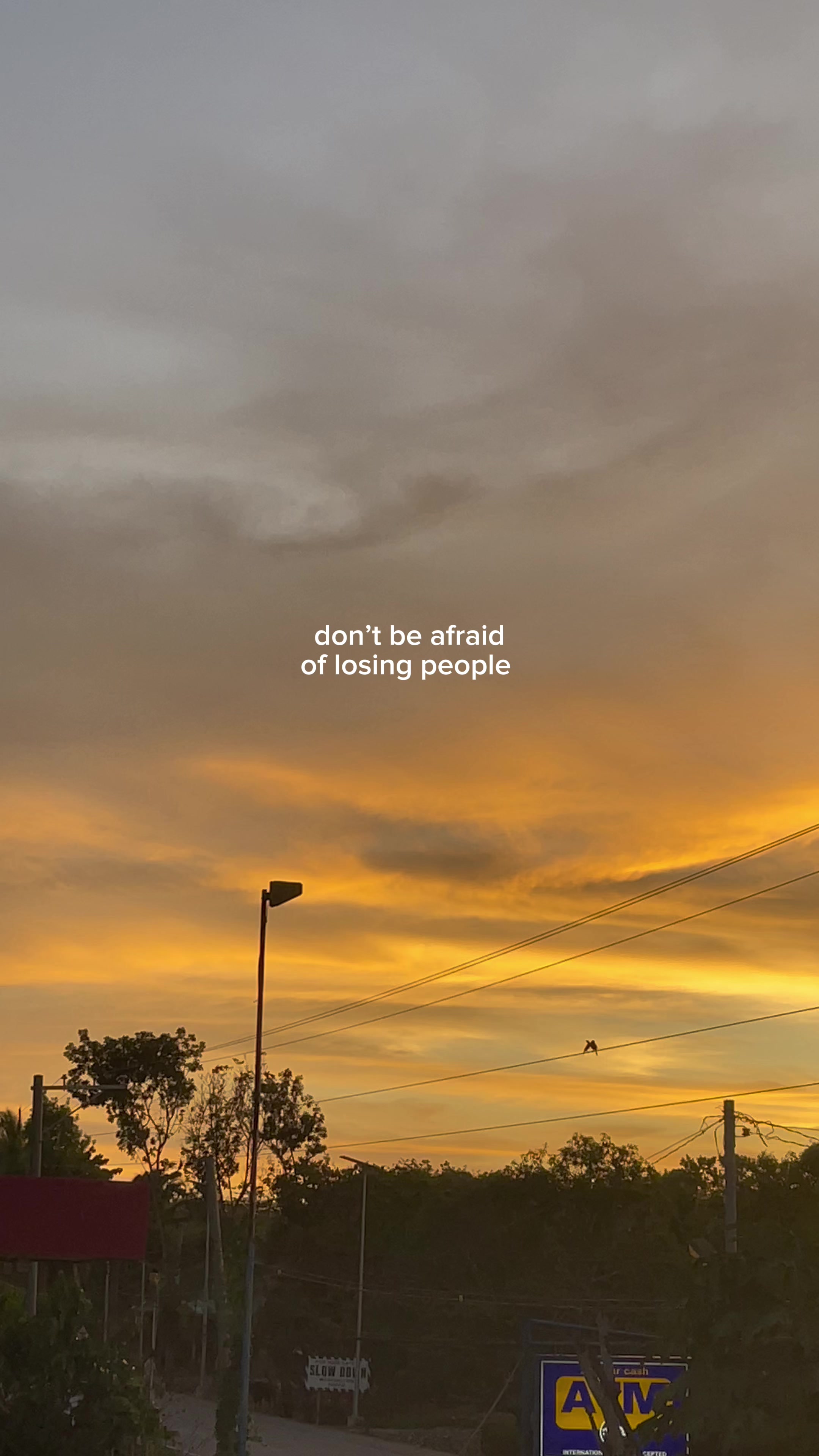 @Darkz.Lyrics