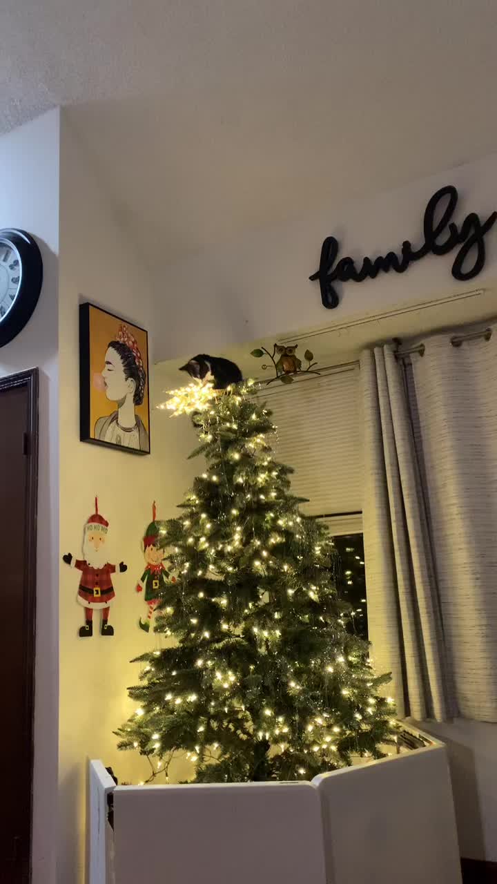 @Bryalxa