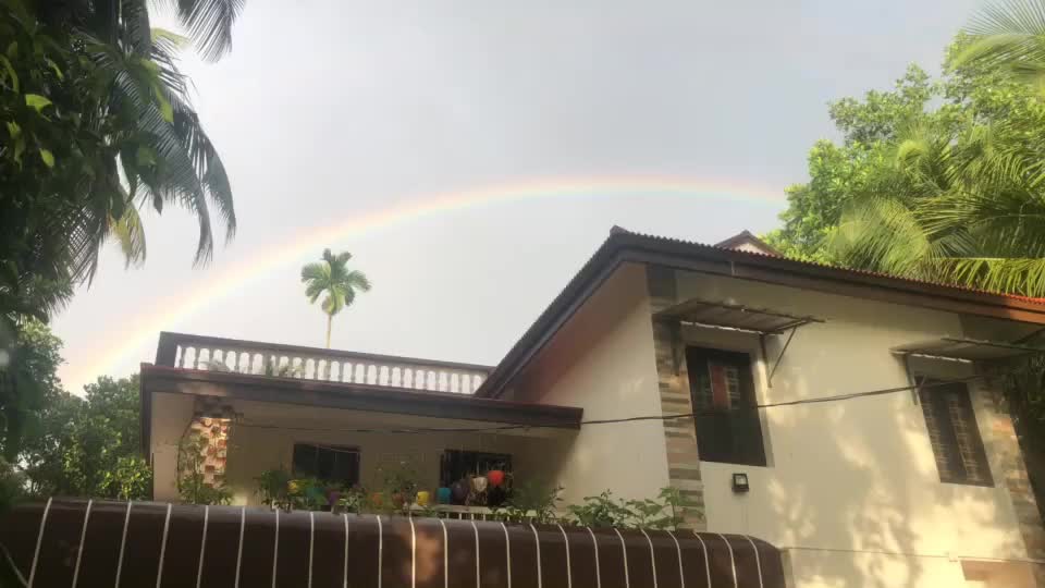 @Vijitha Viji