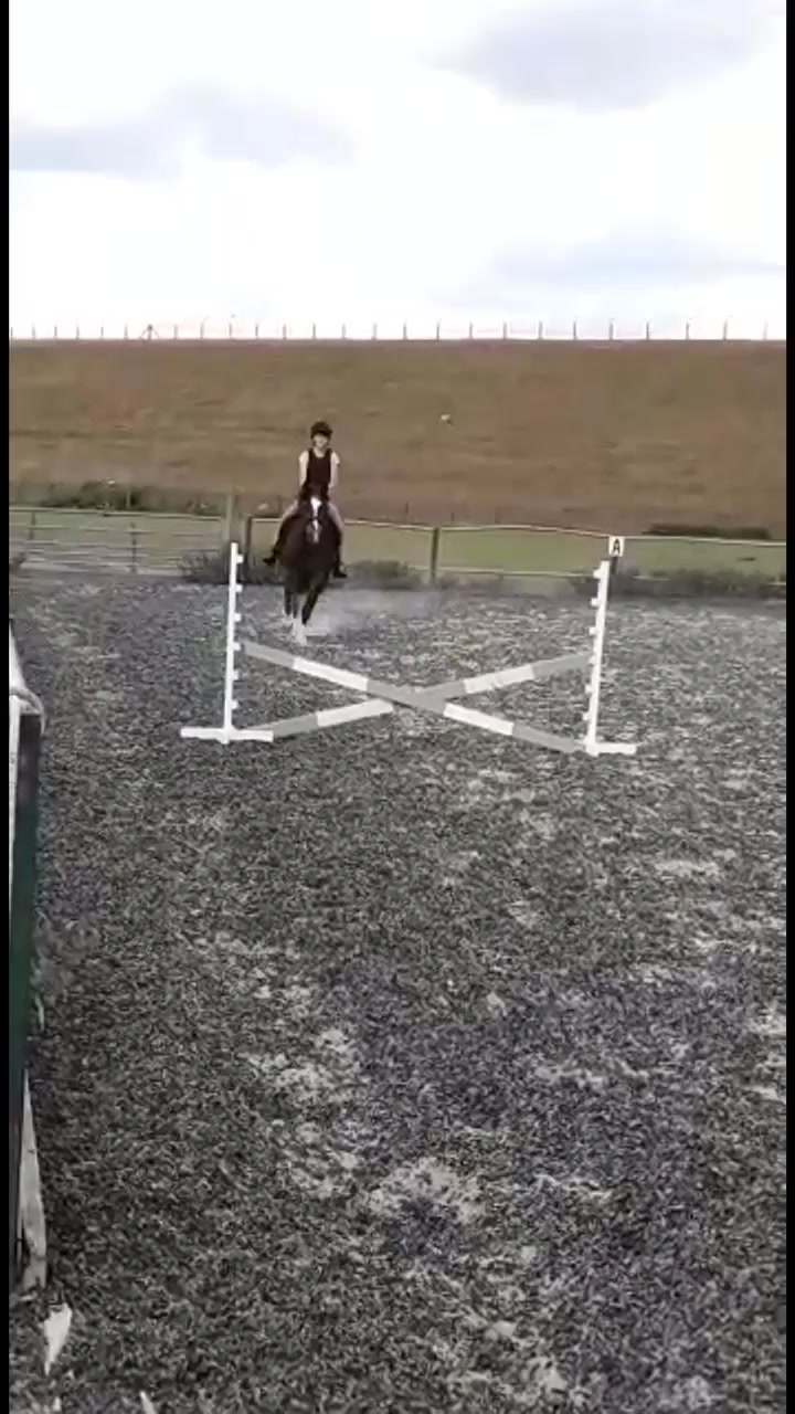 @A hooman Ō-Ó