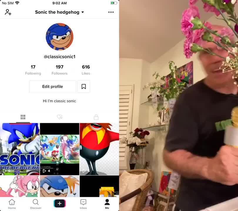 @Sonic the hedgehog