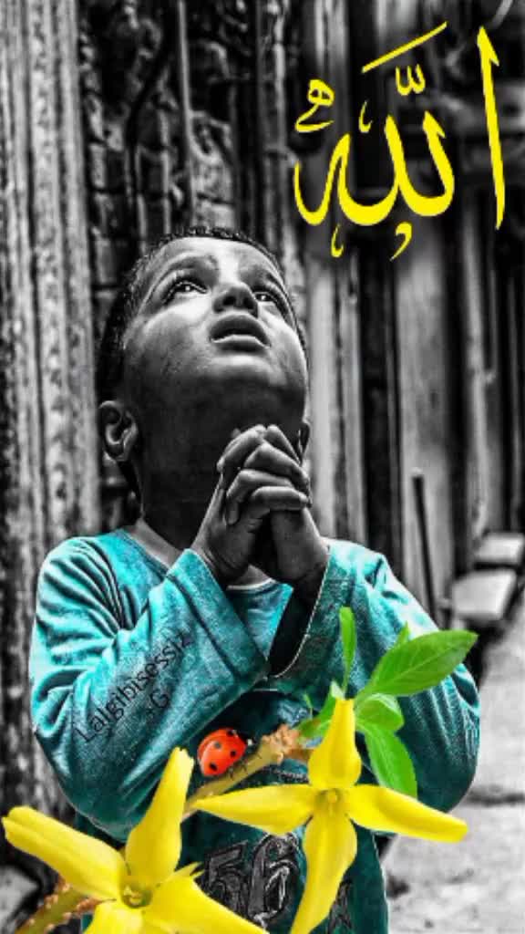 @shehbazali7700