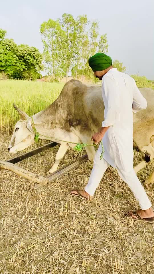 @Avtar Sidhu