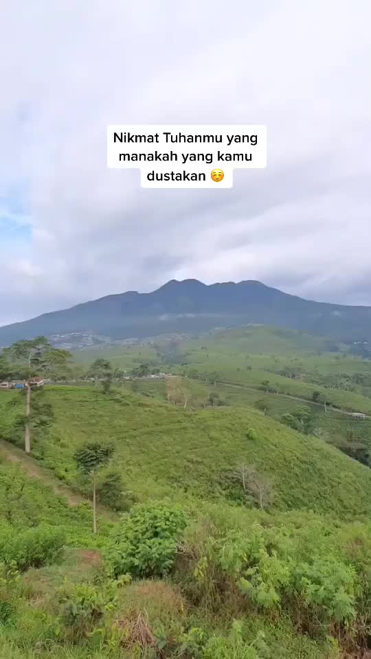 @sibontottt
