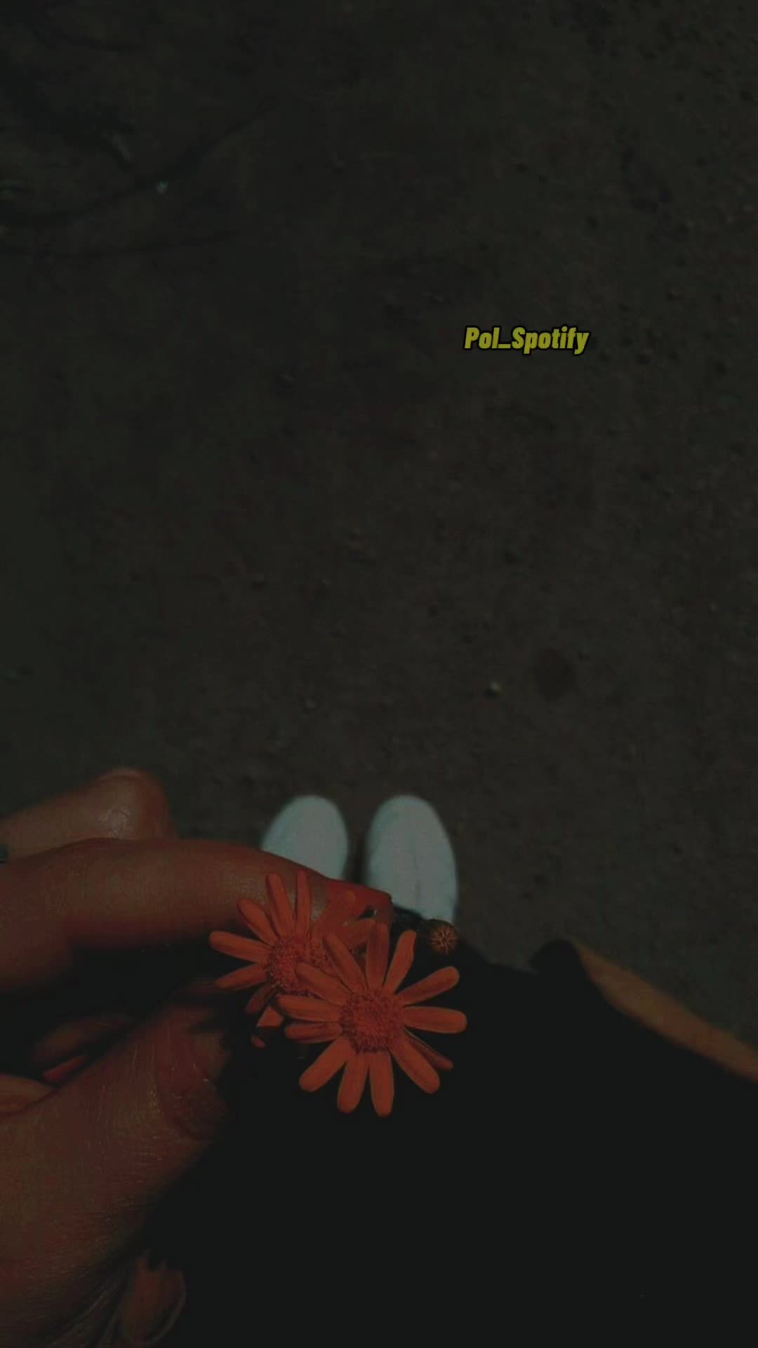 @Pol_Spotifi