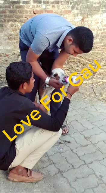 @Ronak Rudani