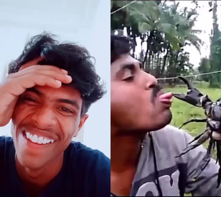 @solo Sam