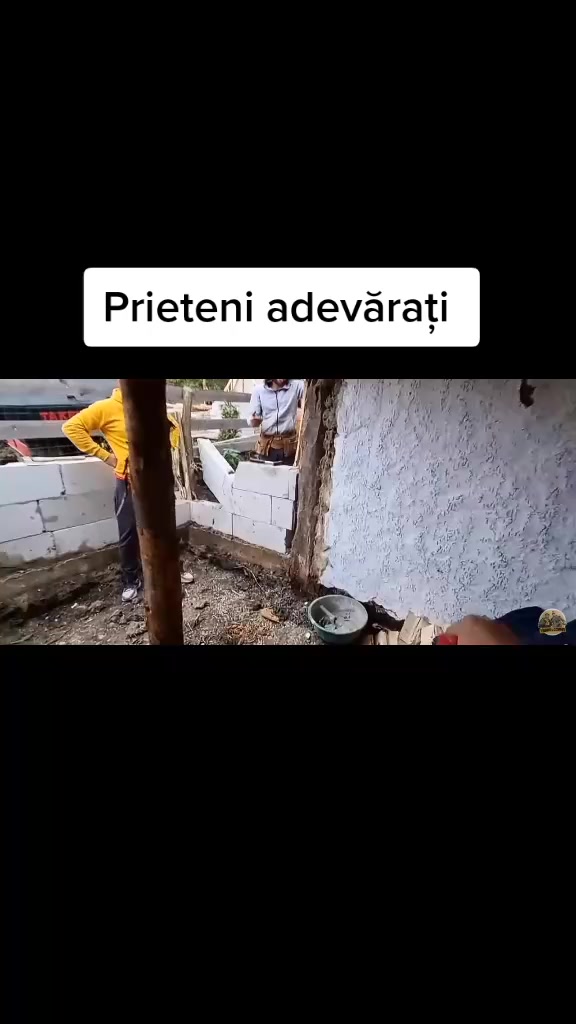 @dori trif