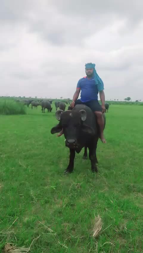 @user prakash parida3