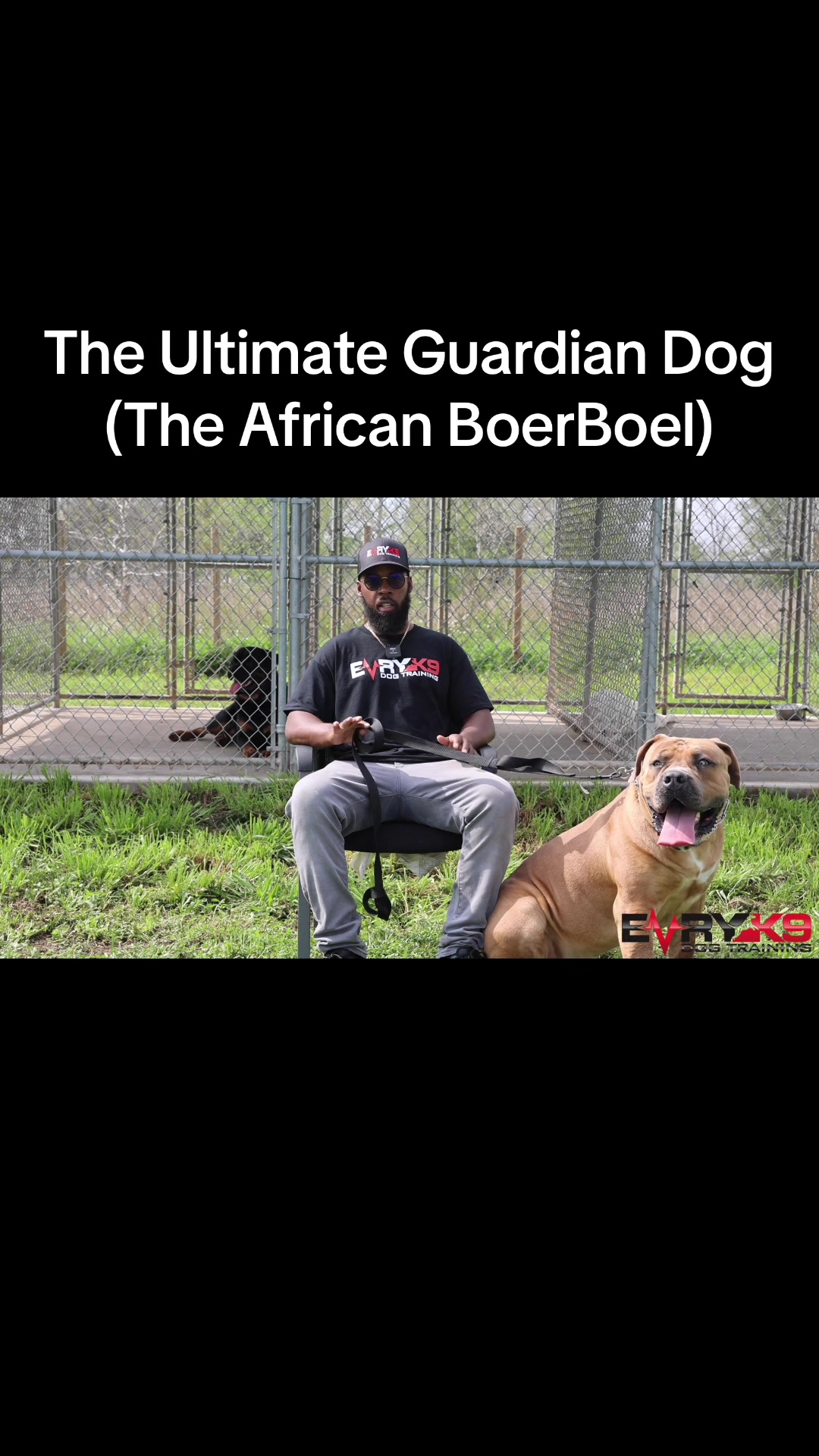 @Evry K9