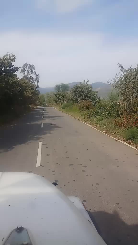 @Bittu Saini Pabla
