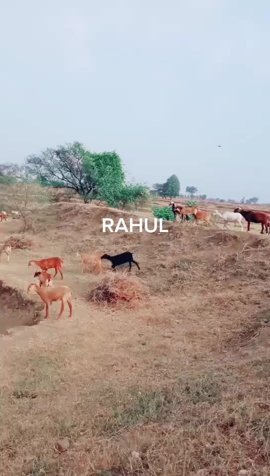 @Sahadev Yeggerwr