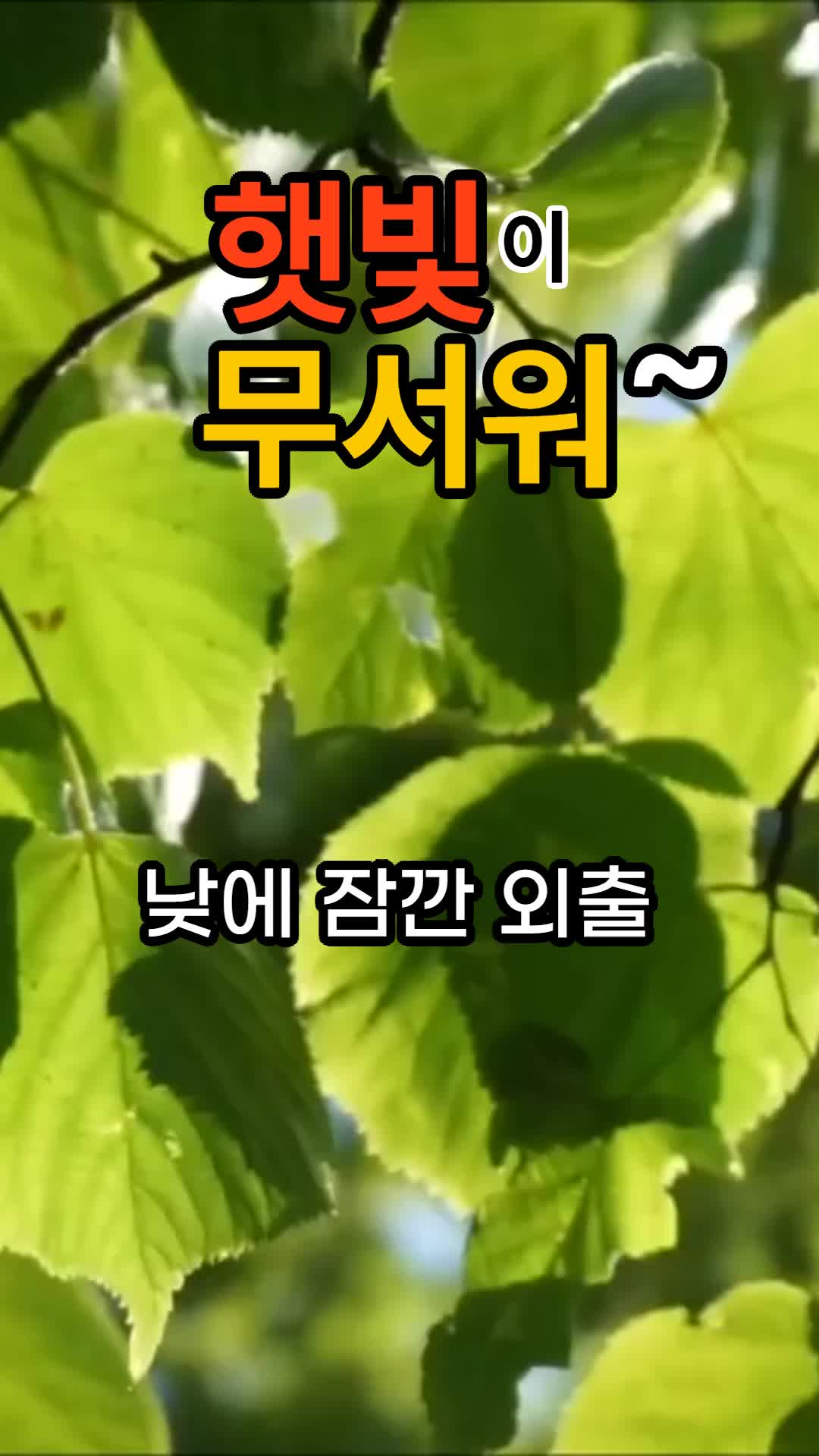 @건강한 산책