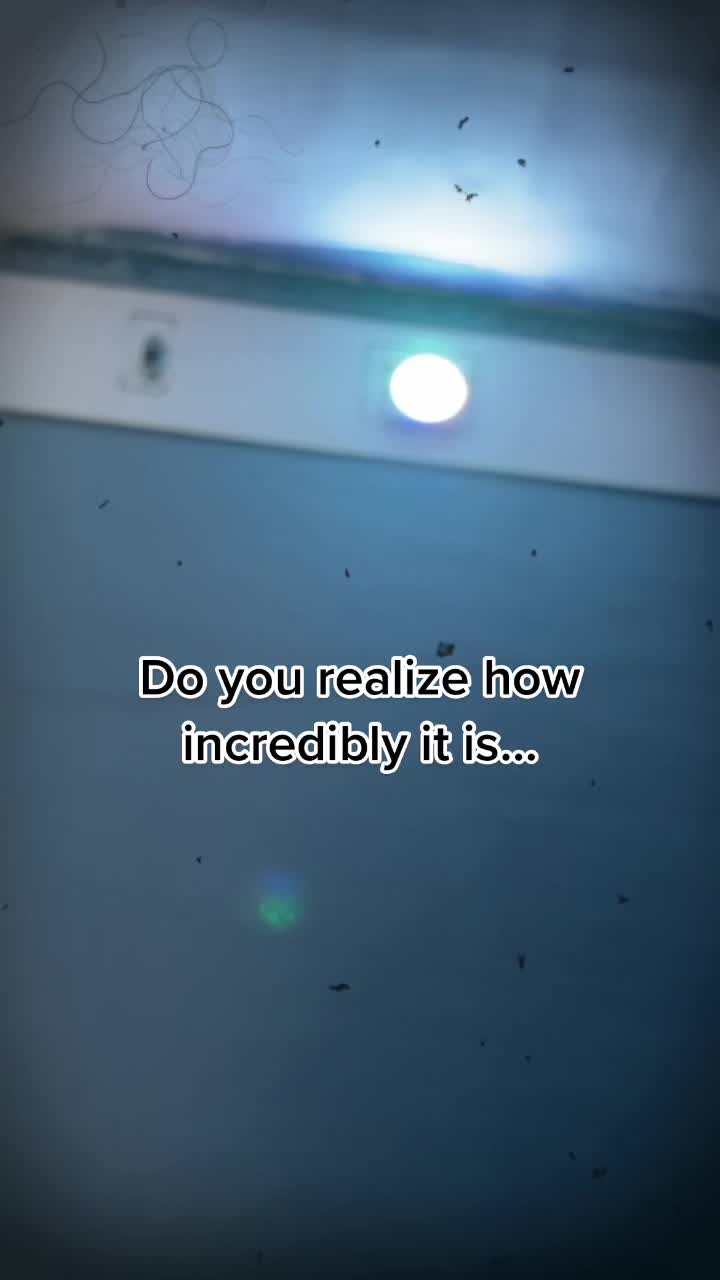 @:/