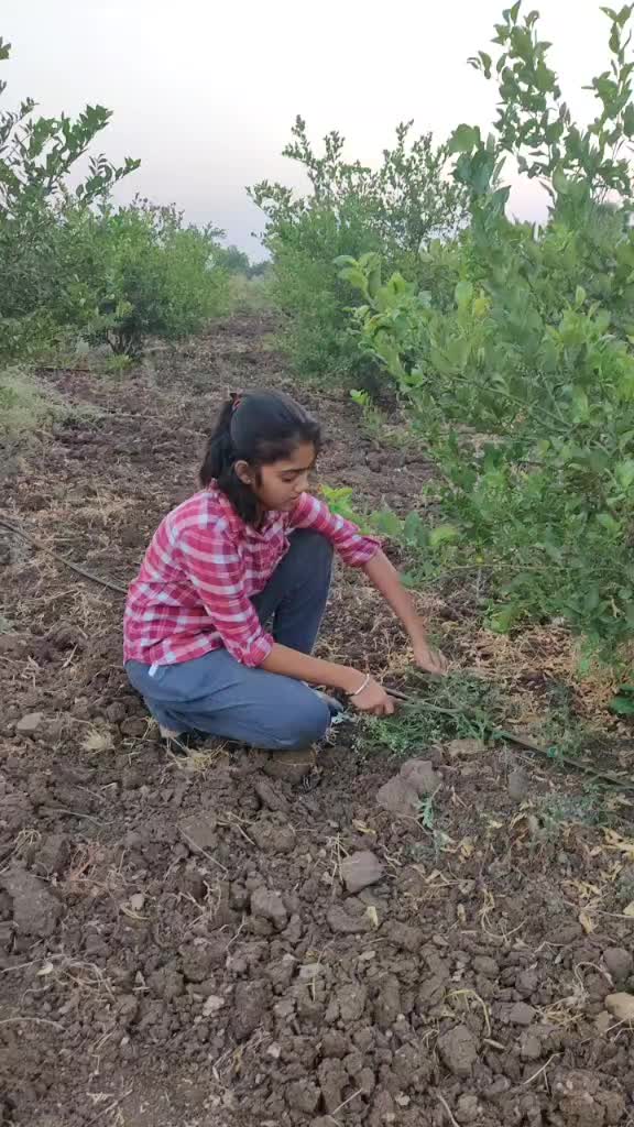 @Nanda Ganjure