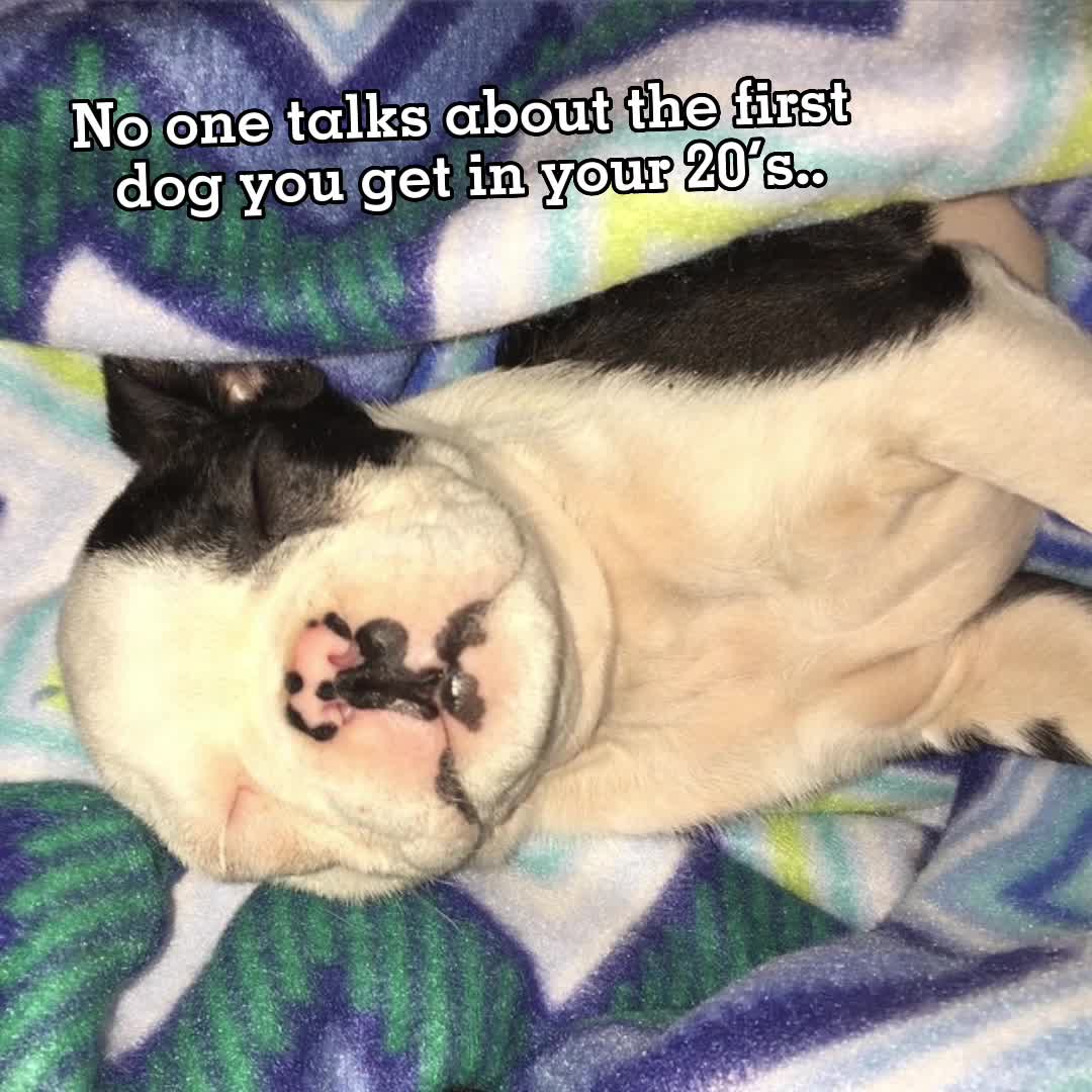 @That_Boston_Apollo