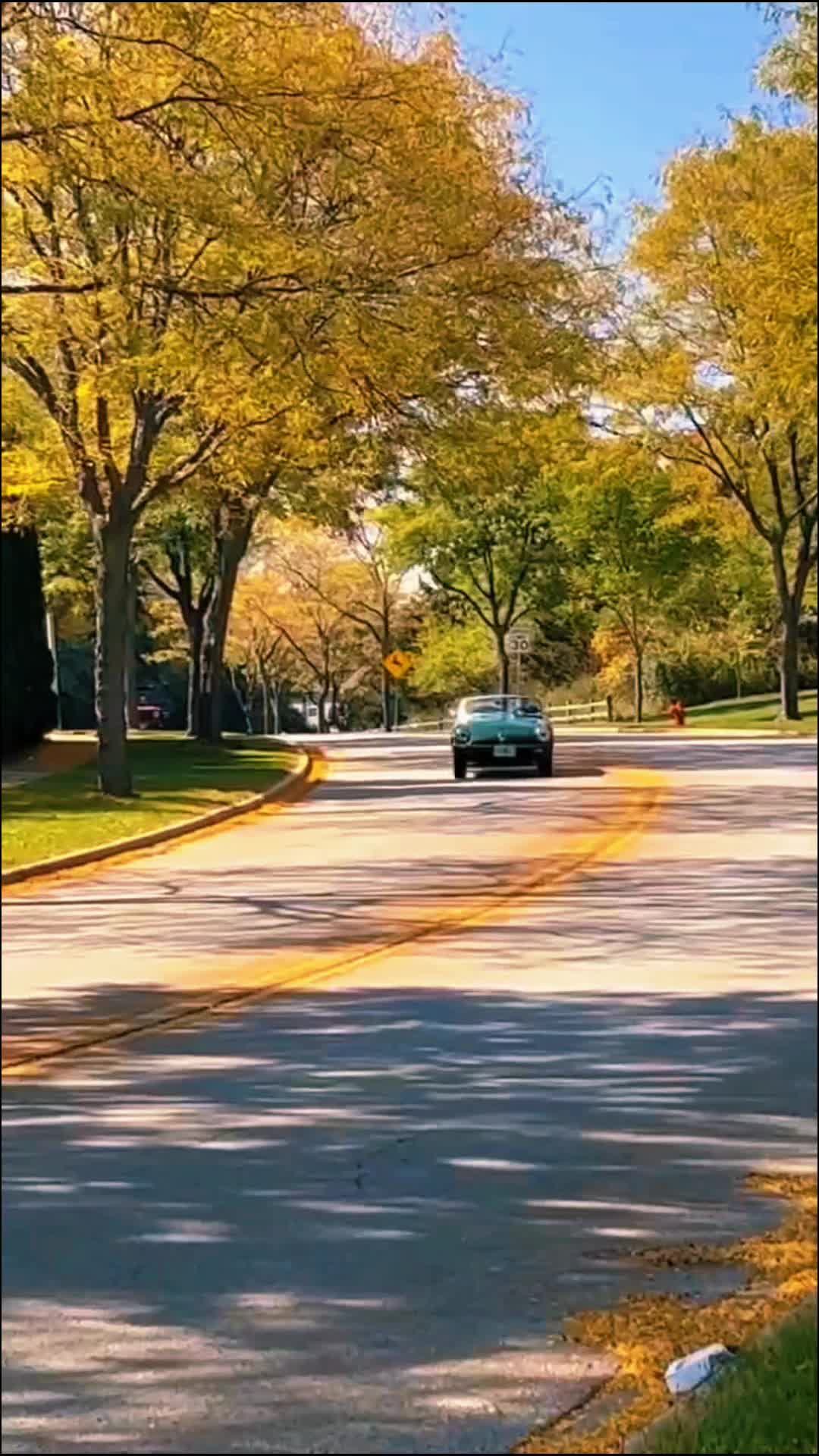 @orna_chase