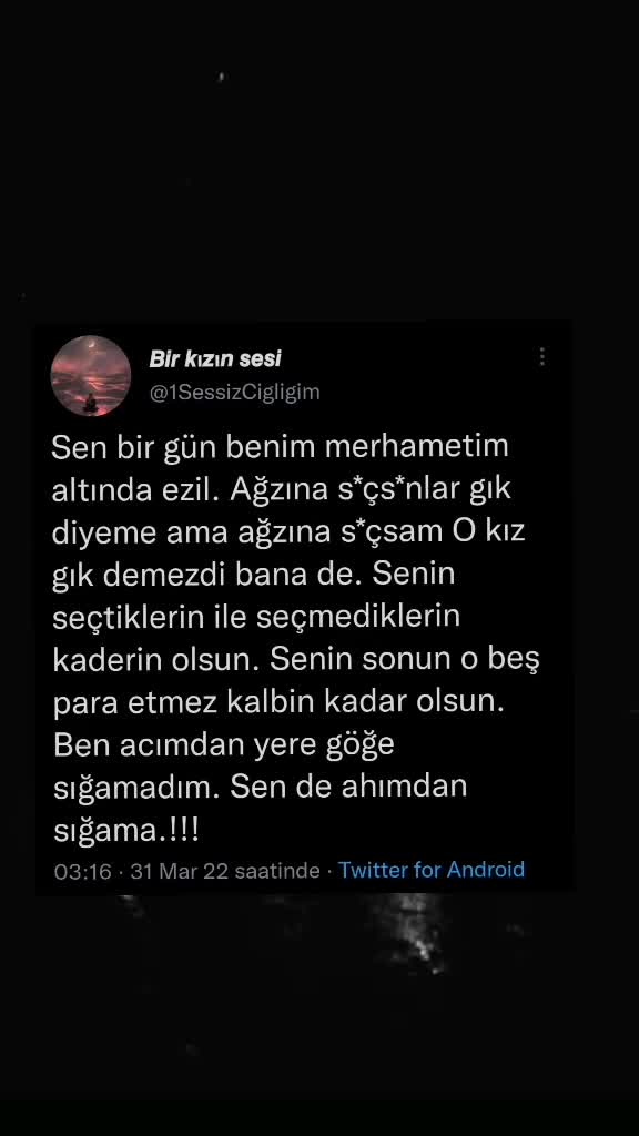 @_birKızınSeSi_