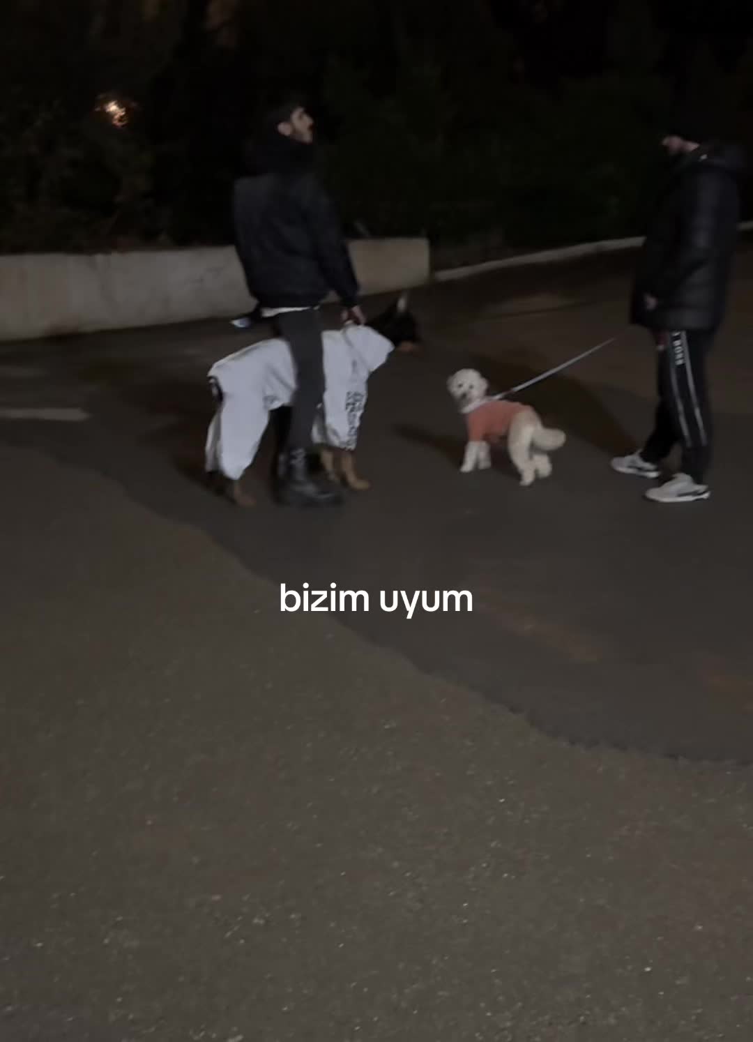 @dobi.baron
